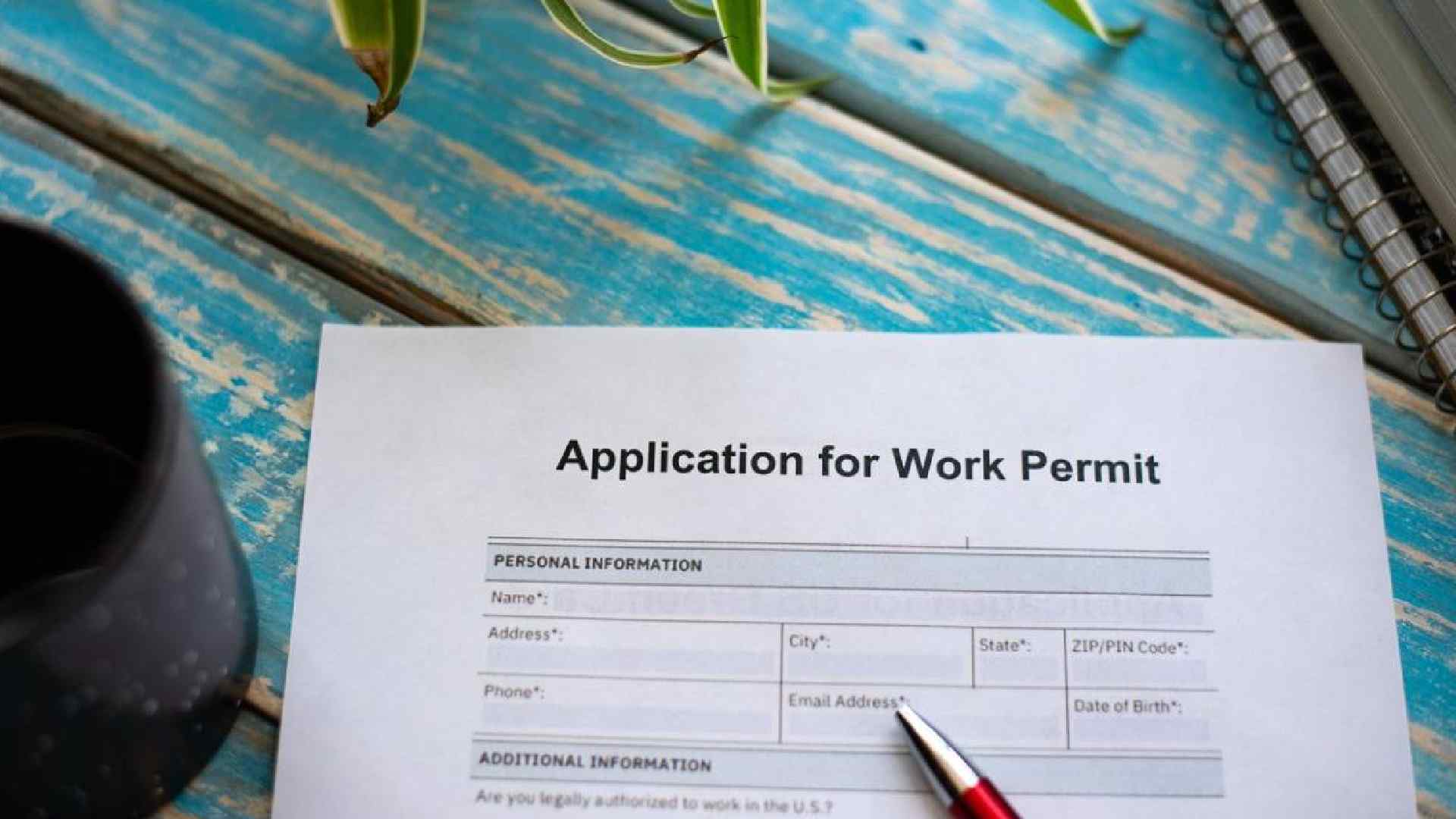 work permit uae