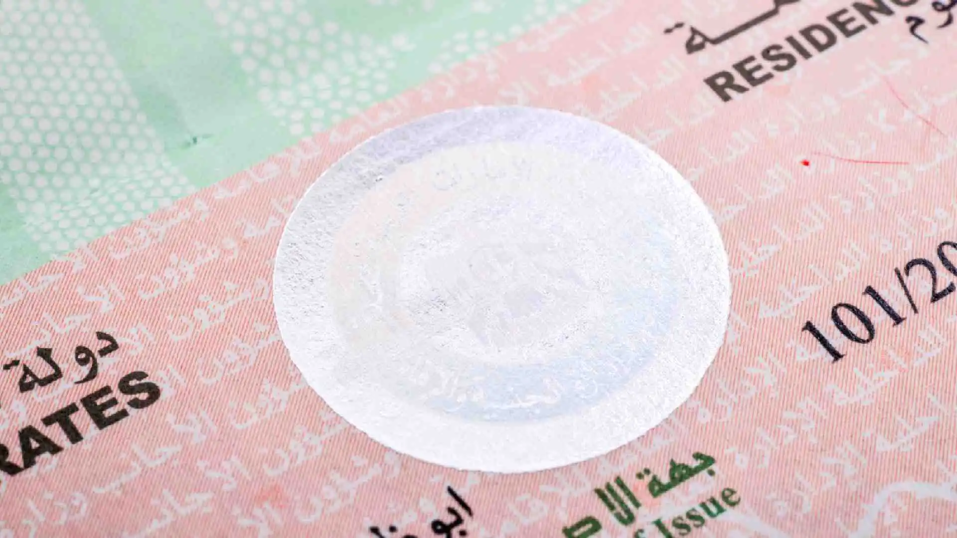 uae-check-visa (1)