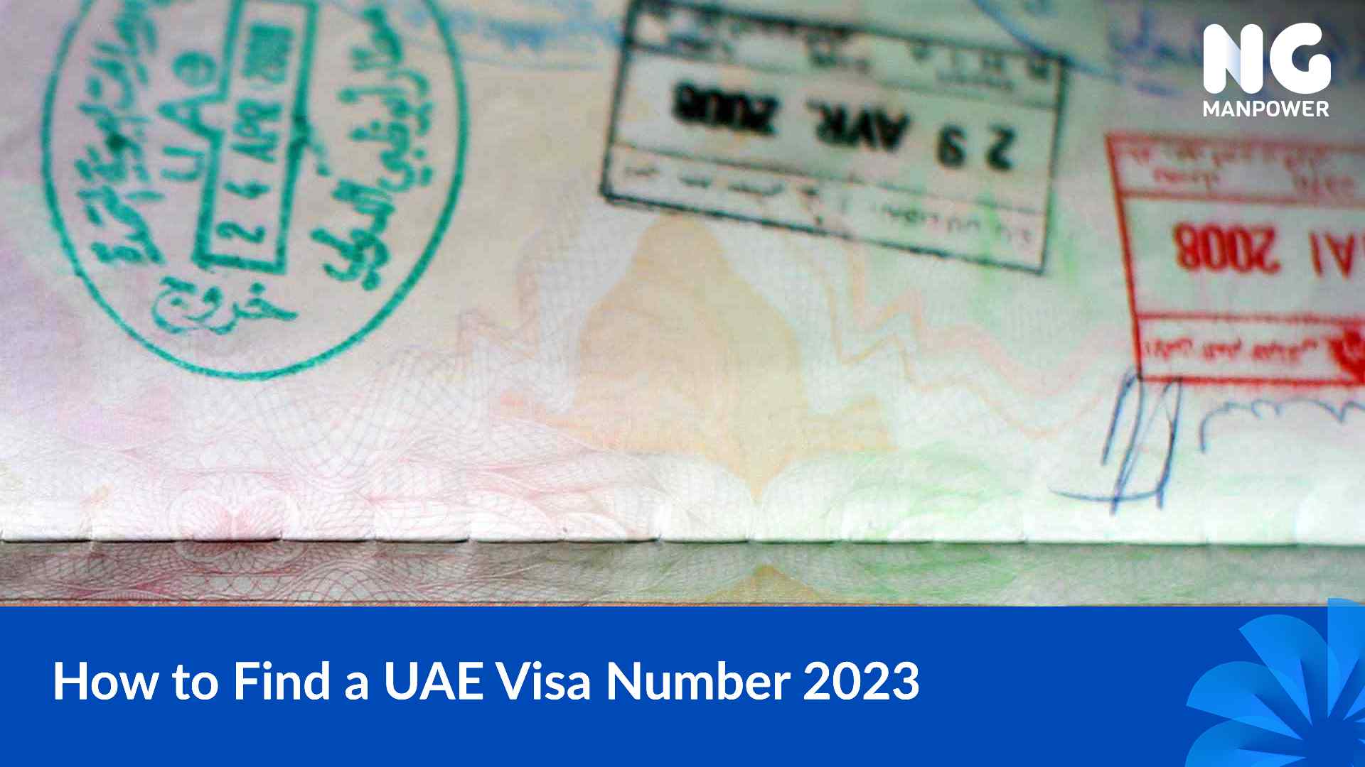 UAE visa number