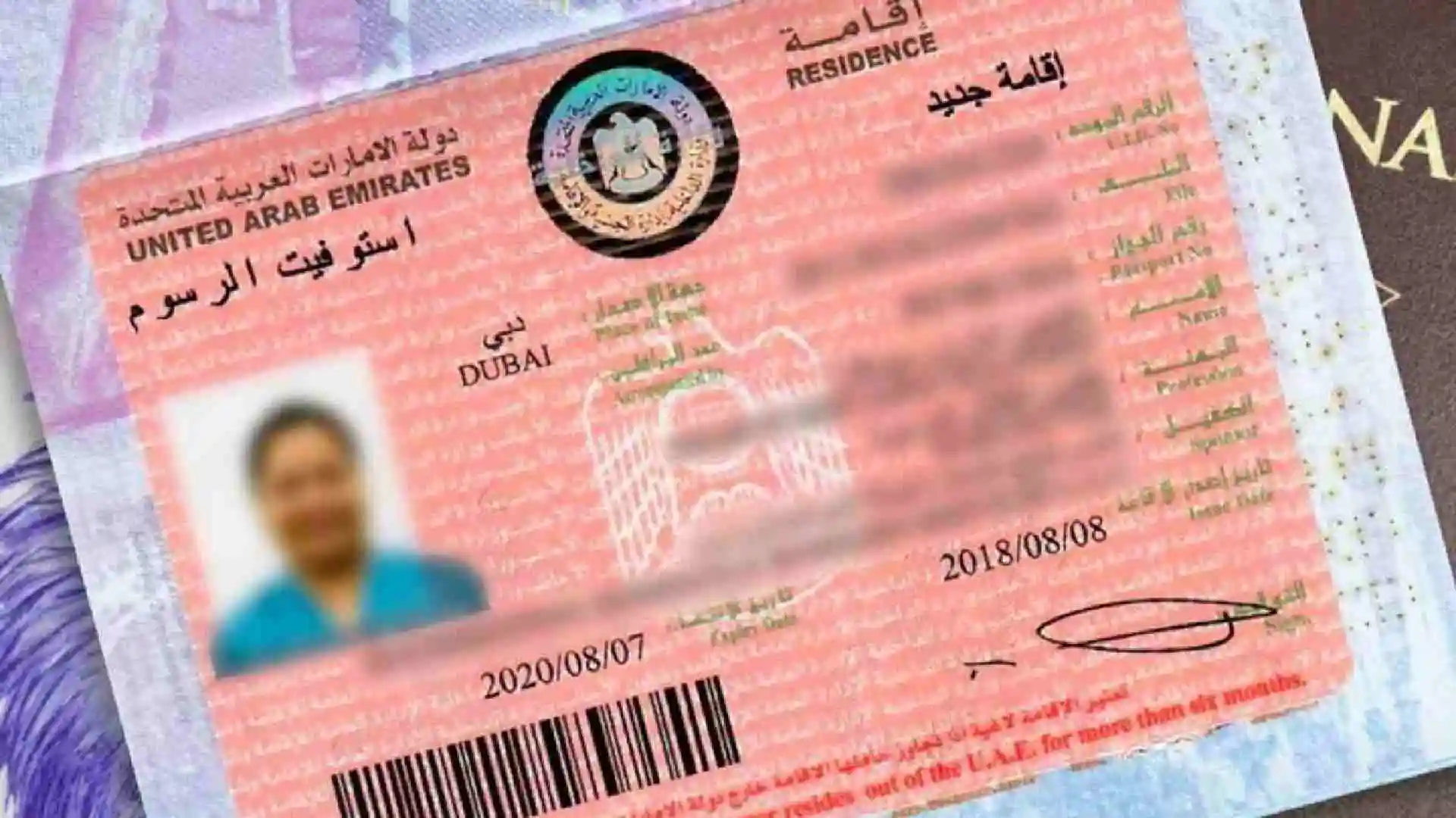 UAE visa number