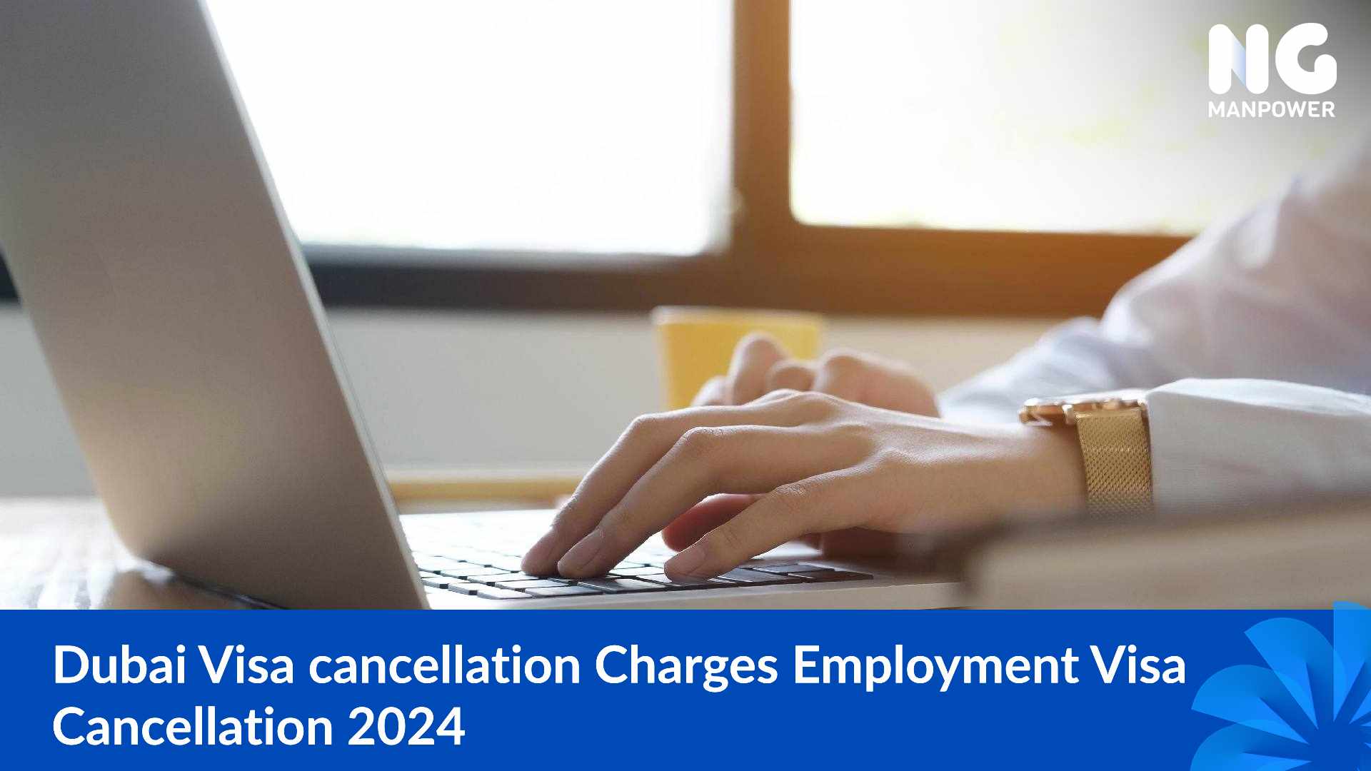 visa cancellation charges
